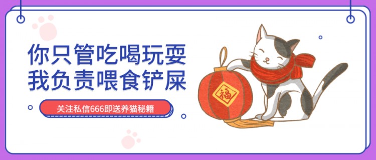 拥有一只不常见品种的猫是一种什么体验？